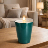 Classic Petit Candle _ Green iris