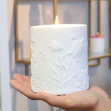 Ocean Life Candle
