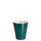 Classic Candle H100-S-Green Iris