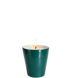 Classic Petit Candle _ Green iris