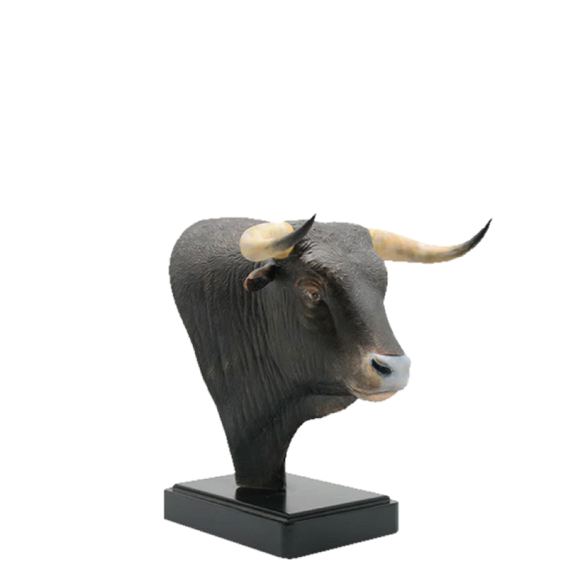 Bull Head - Hand Painted