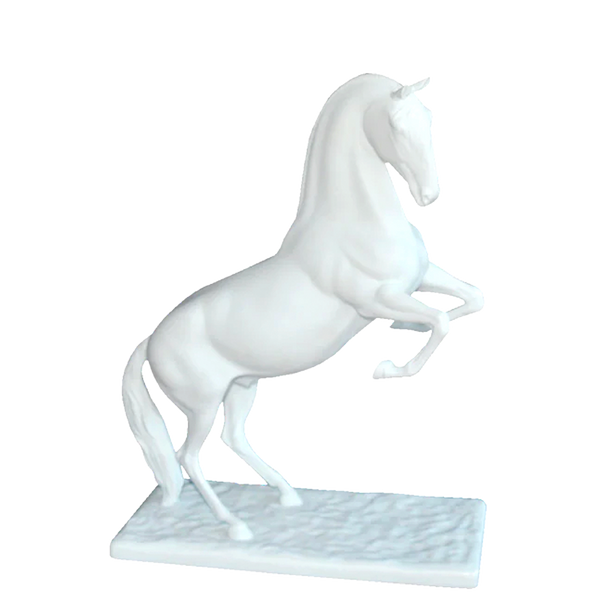 Lusitano Horse - Biscuit