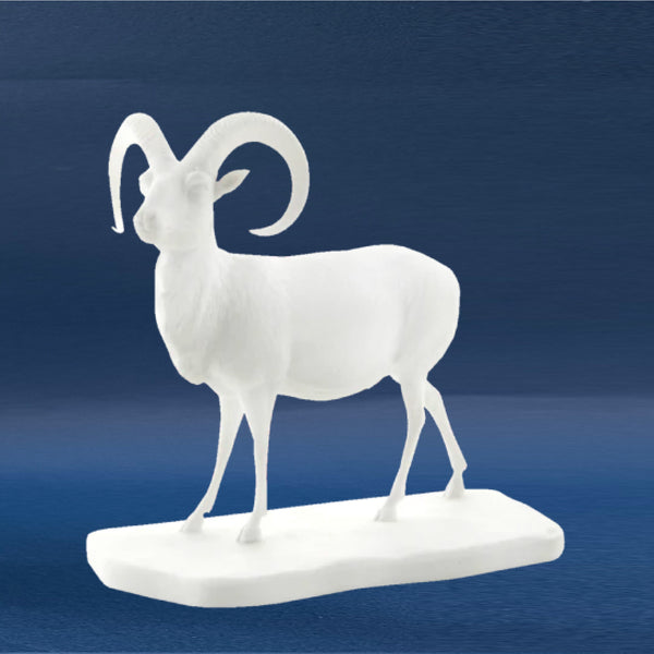 Mouflon - Biscuit