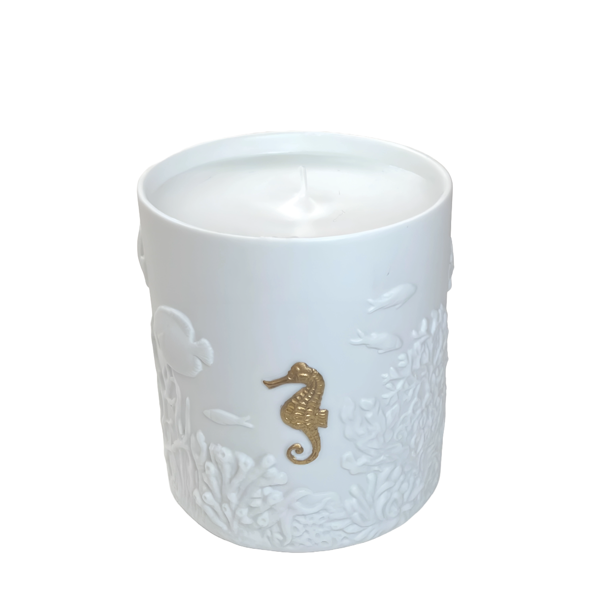 Ocean Life Candle - White & Gold