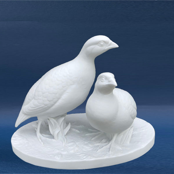 Quail couple - Biscuit