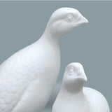 Quail couple - Biscuit