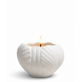 Tulip Low Candle - White Biscuit