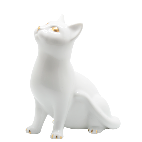 Cat | White + Gold