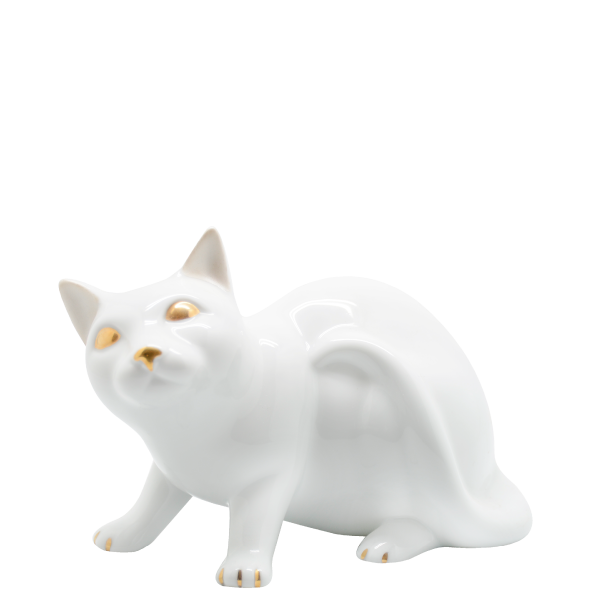 Gato | Branco + Ouro