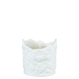 Ipomea Cropped Candle - White Biscuit
