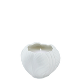 Tulip Low Candle - White Biscuit