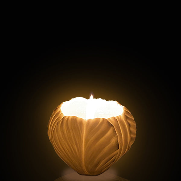 Tulip Low Candle - White Biscuit