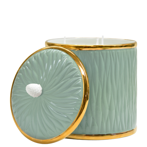 Organic Candle 120 - Green Celadon with Pine