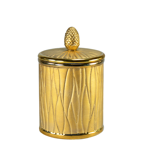 Organic Candle 80 - Mate & Bright | Gold with Pine