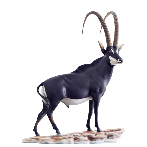 Giant Black Palanca - Hand Painted